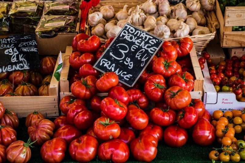 Ferienwohnung Rovinj mieten,Ferienwohnung Wien mieten,Apartment Rovinj buchen,Apartment Wien buchen,Tipps Rovinj