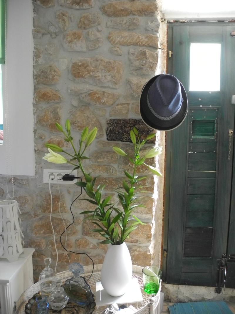 Ferienwohnung Rovinj mieten,Ferienwohnung Wien mieten,Apartment Rovinj buchen,Apartment Wien buchen,Tipps Rovinj